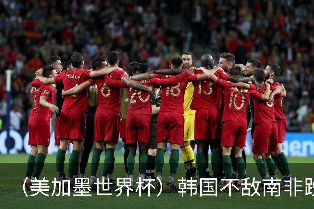 （美加墨世界杯）韩国不敌南非跌至小组第三 出线前景待定