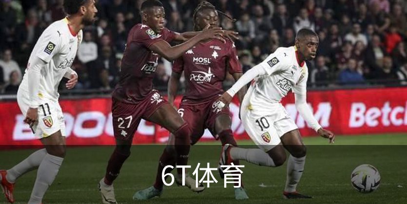 关于6T体育